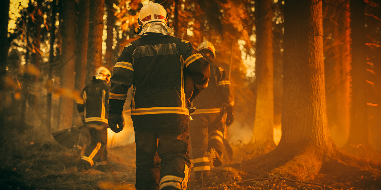 Firefighters fighting a wildfire