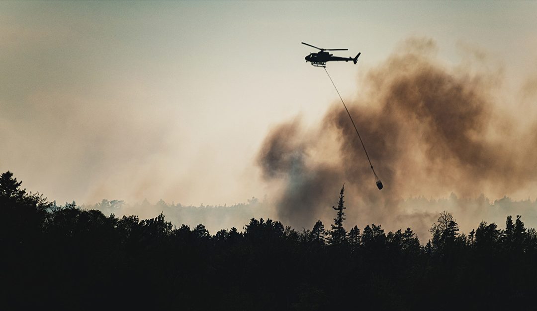 Washington Wildfire Resources & Support