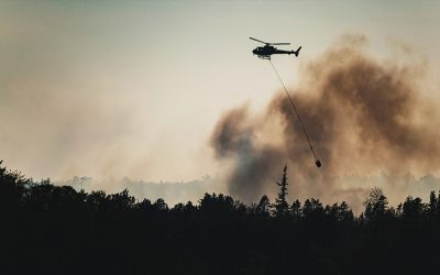 Washington Wildfire Resources & Support